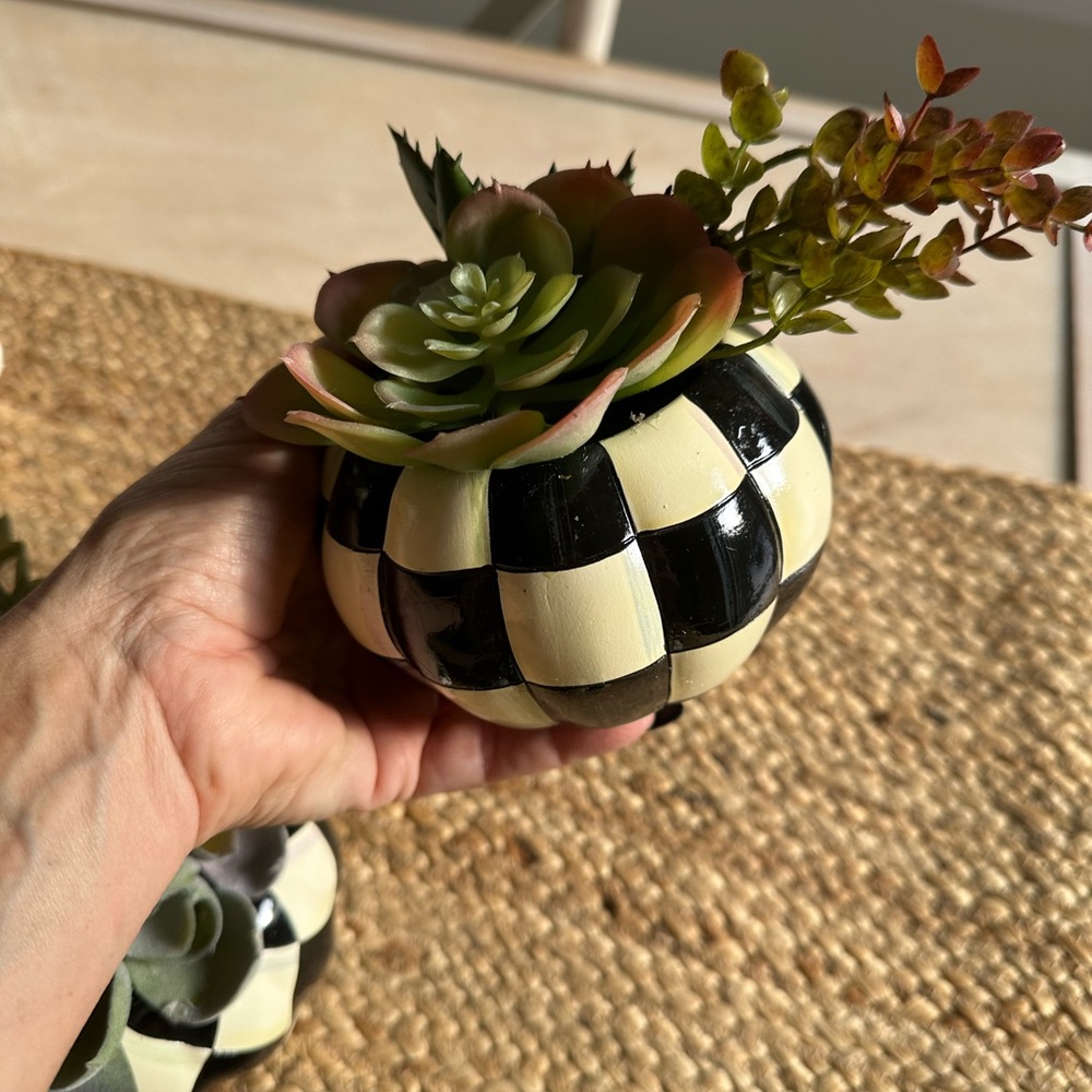 MacKenzie-Childs Black and White Faux Succulent Trio - Picture 6 of 10